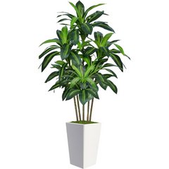 5' Artificial Dracaena tree