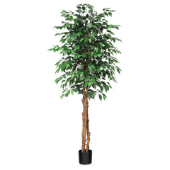 6' Artificial Ficus Tree