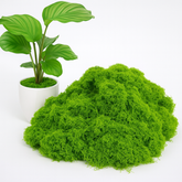 Fake Green Moss for Potted Plants 5.3oz