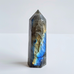 Intuitive Shield Labradorite Tower