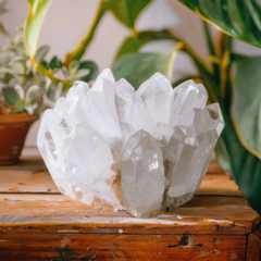 White Phantom Cluster